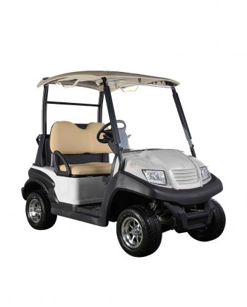 2 Seater Electric golf cart by Electric Eagle Manila Philippines