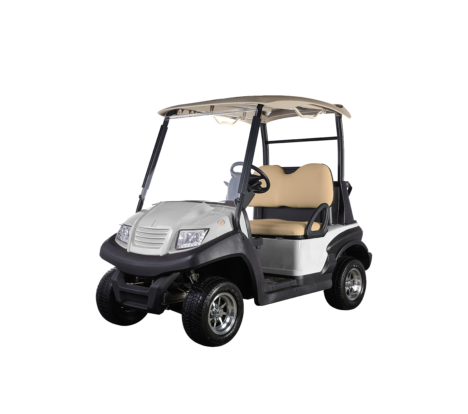 2-Seater Electric Golf Cart - Electric Eagle